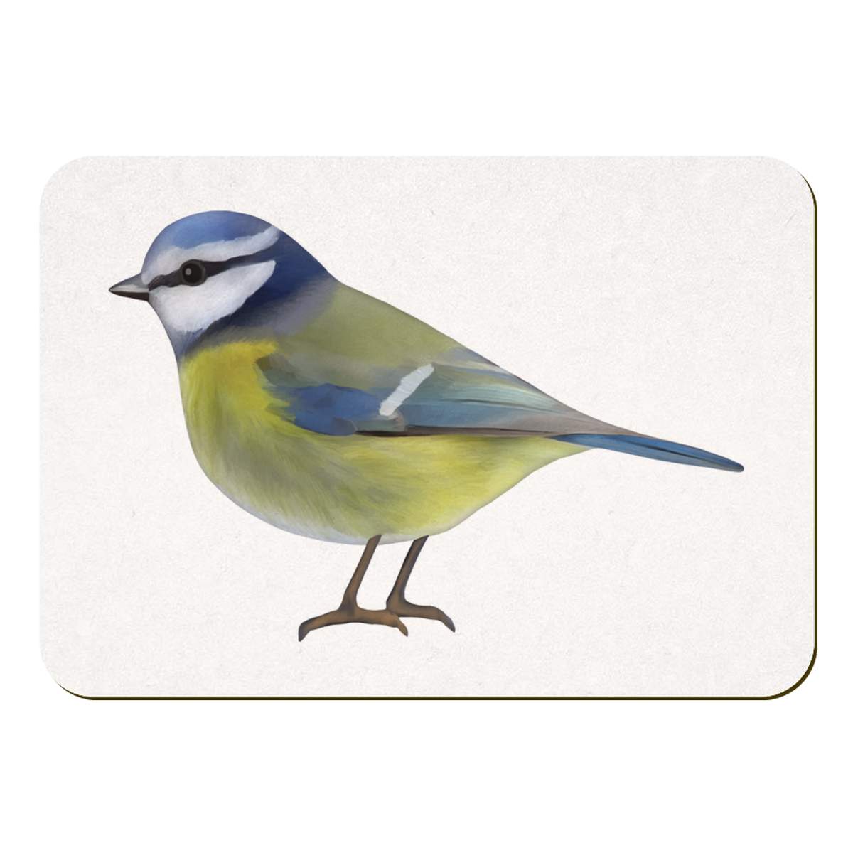 'Blue Tit' Fridge Magnet - 70mm x 49mm - Decorative Refrigerator & Whiteboard Magnet for Home, Kitchen or Office (FM00044098)