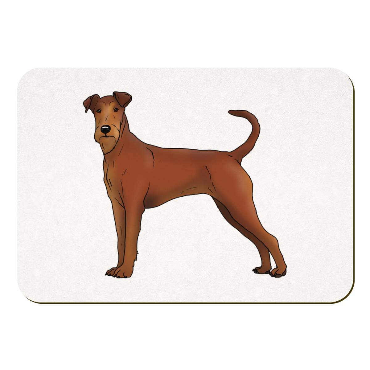 'Irish Terrier' Rectangular Fridge Magnet - Decorative Refrigerator & Whiteboard Magnet for Home, Kitchen or Office - 70mm x 49mm (FM00047829)
