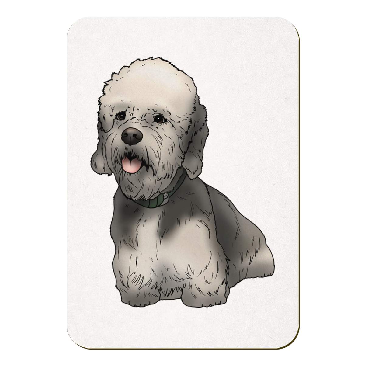 'Dandie Dinmont Terrier' Rectangular Fridge Magnet - Decorative Refrigerator & Whiteboard Magnet for Home, Kitchen or Office - 70mm x 49mm (FM00047874)