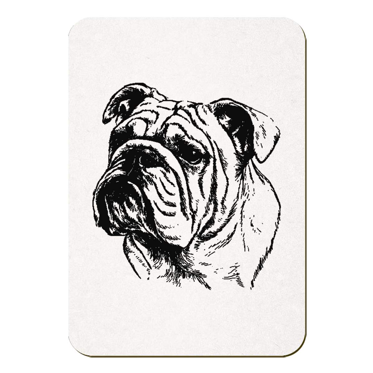 'English Bulldog Portrait' Rectangular Fridge Magnet - Decorative Refrigerator & Whiteboard Magnet for Home, Kitchen or Office - 70mm x 49mm (FM00062152)