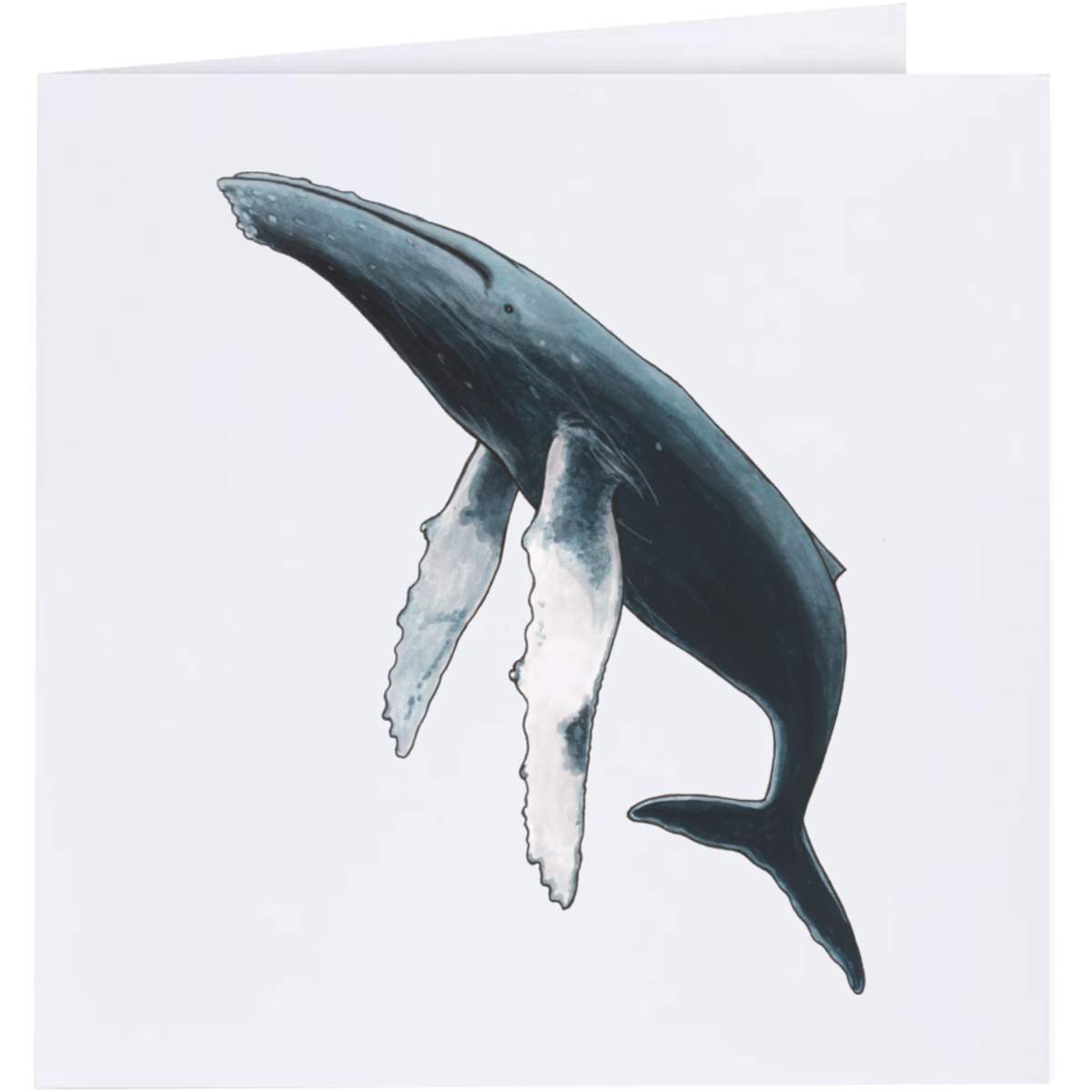 'Humpback Whale' Greeting Cards (GC020846)