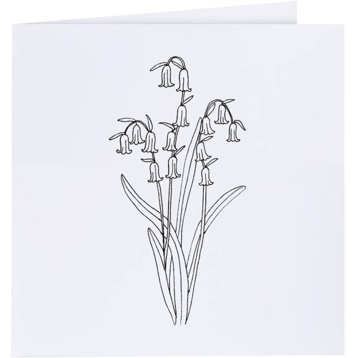 'Bluebells' Greeting Cards (GC000204)