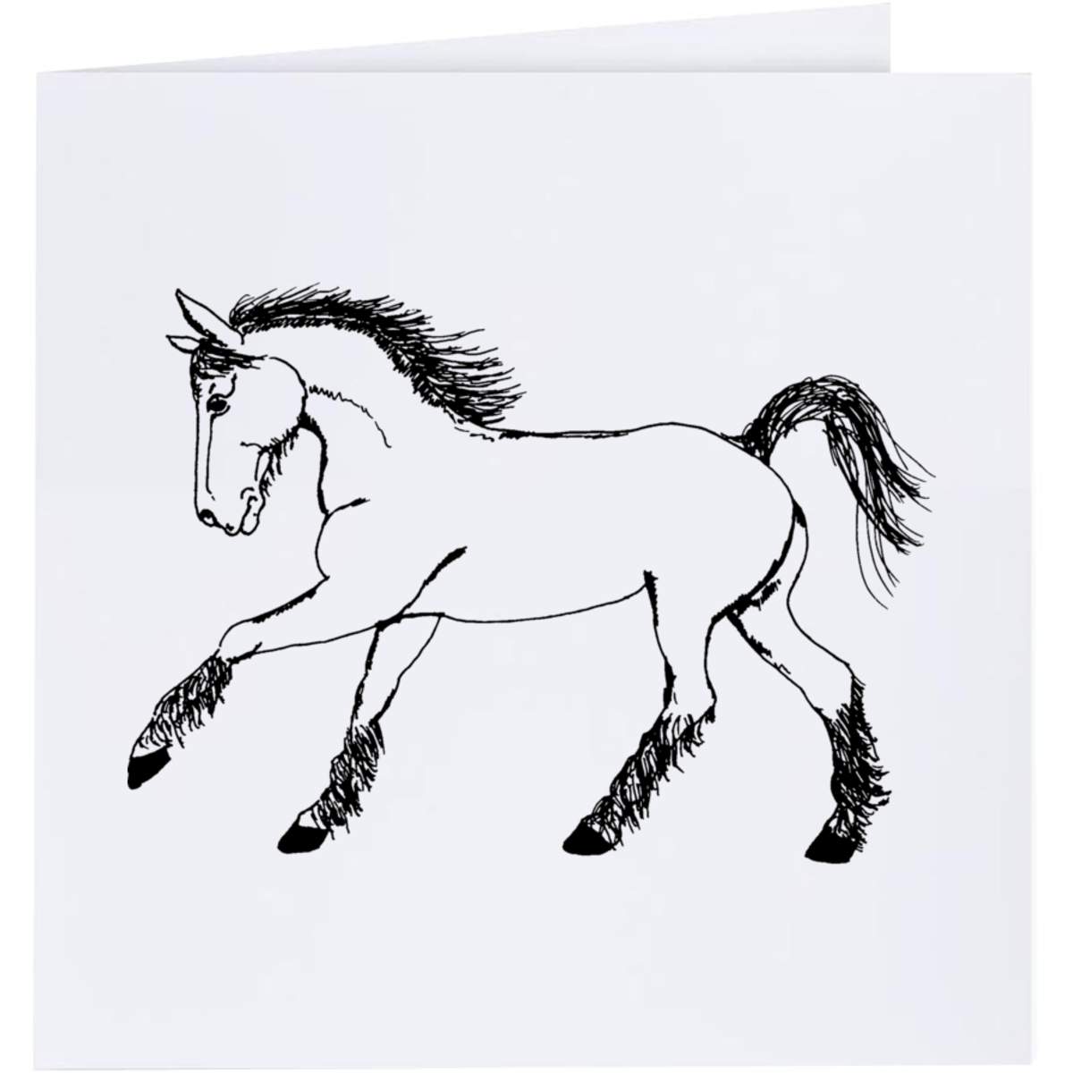 'Cantering Horse' Greeting Cards (GC017394)