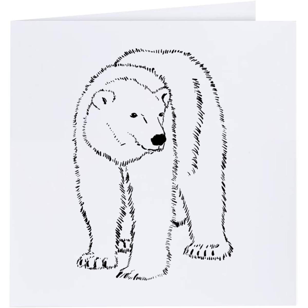 'Polar Bear' Greeting Cards (GC025452)