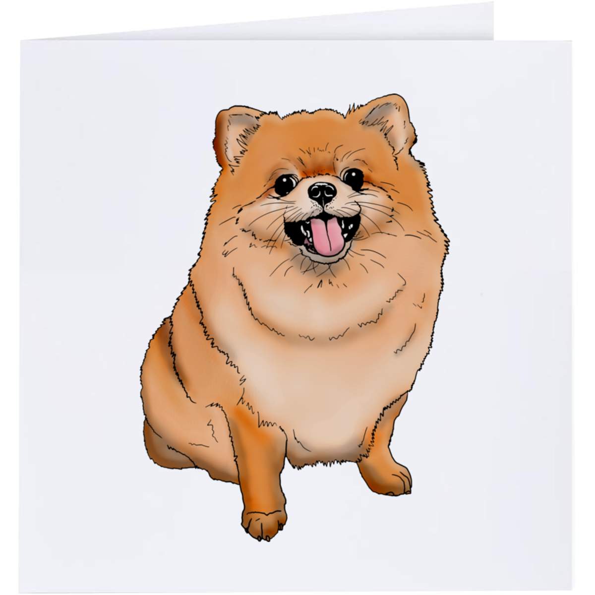 'Pomeranian Dog' Greeting Cards (GC028723)