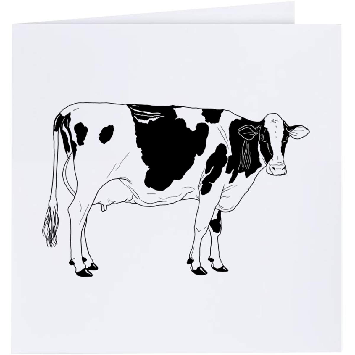 'Dairy Cow' Greeting Cards (GC028808)