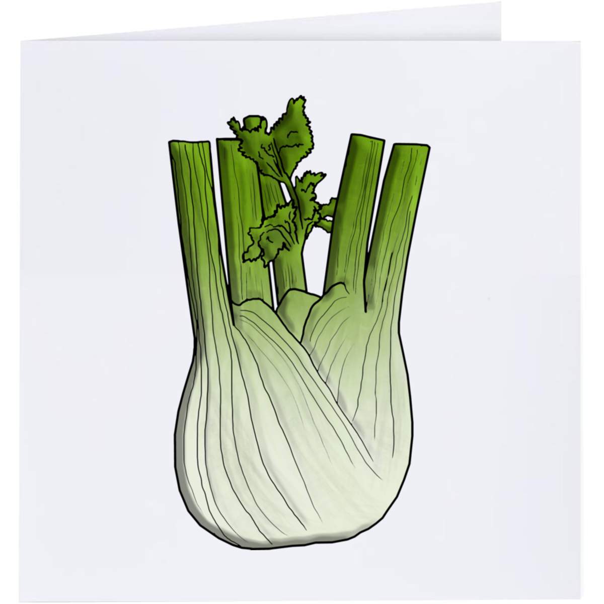 'Fennel Bulb' Greeting Cards (GC029237)
