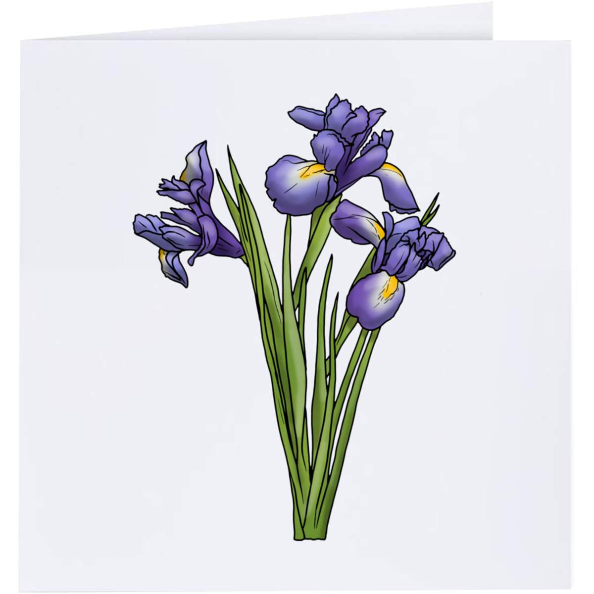 'Blue Iris Flowers' Greeting / Occasion Card - Blank Inside for Birthdays, Thank You Notes, Invitations and Gifts (GC035347)