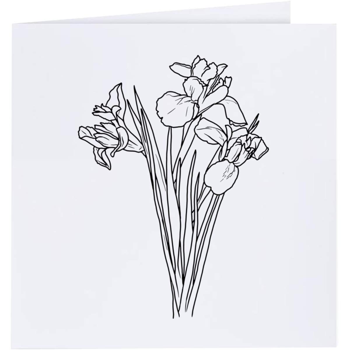'Iris Flowers' Greeting Cards (GC035367)