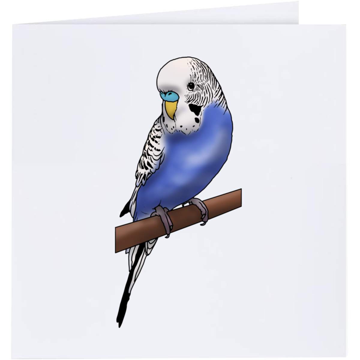 'Perched Budgie' Greeting Cards (GC035516)