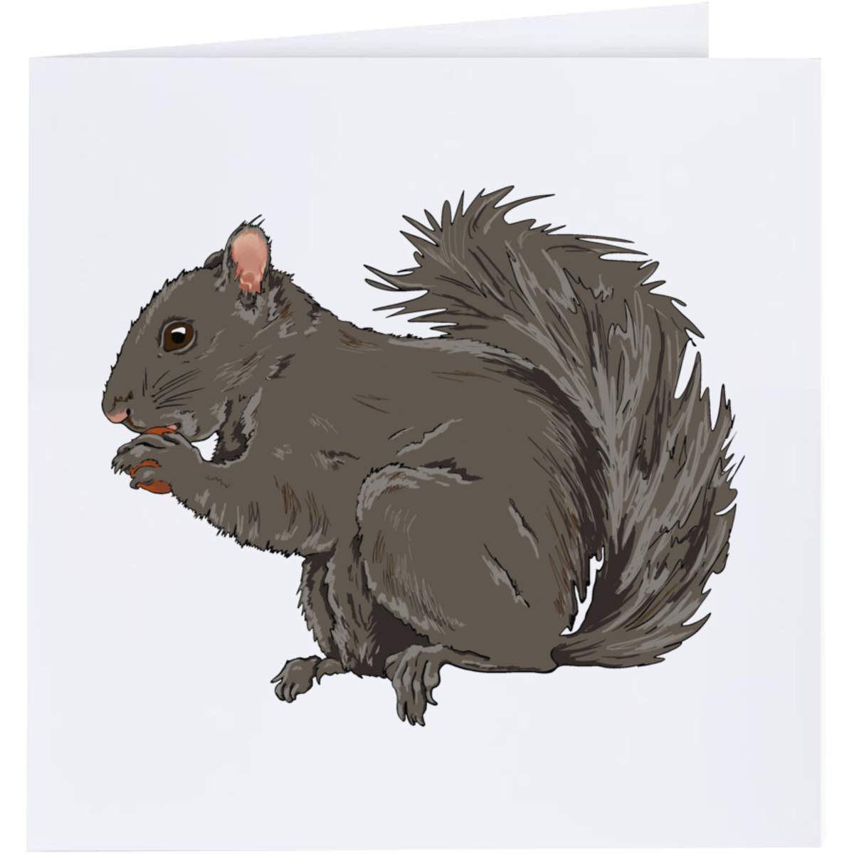 'Squirrel Eating Acorn' Greeting Cards (GC037332)