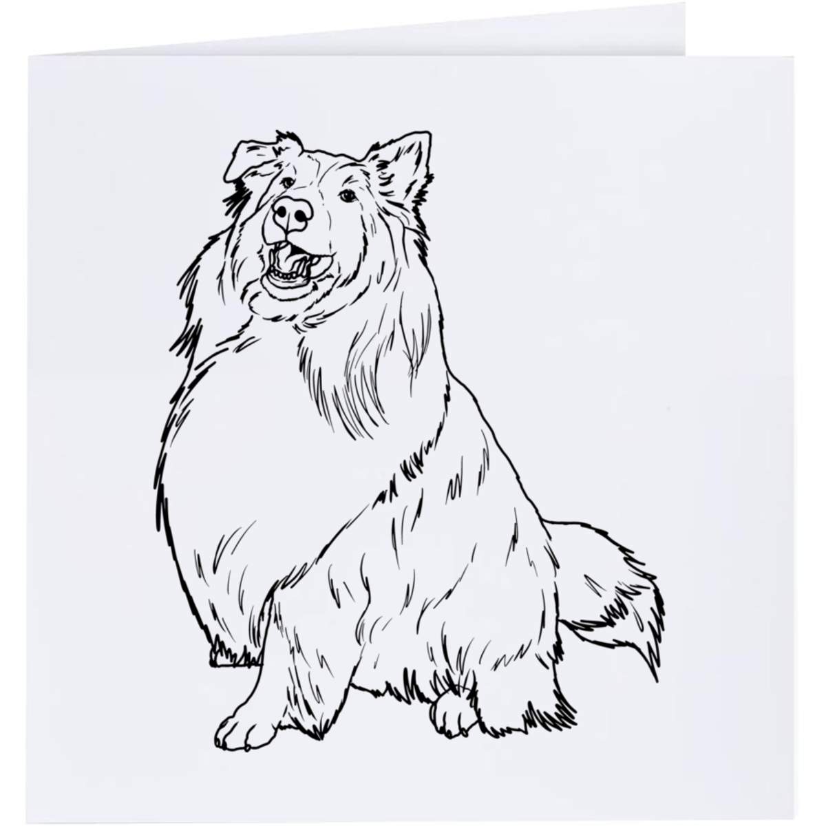 'Rough Collie' Greeting Cards (GC037464)