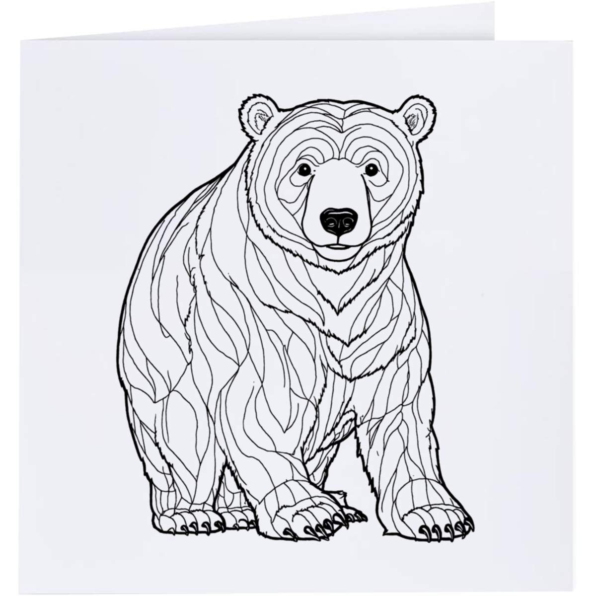'Polar Bear' Greeting Cards (GC047811)