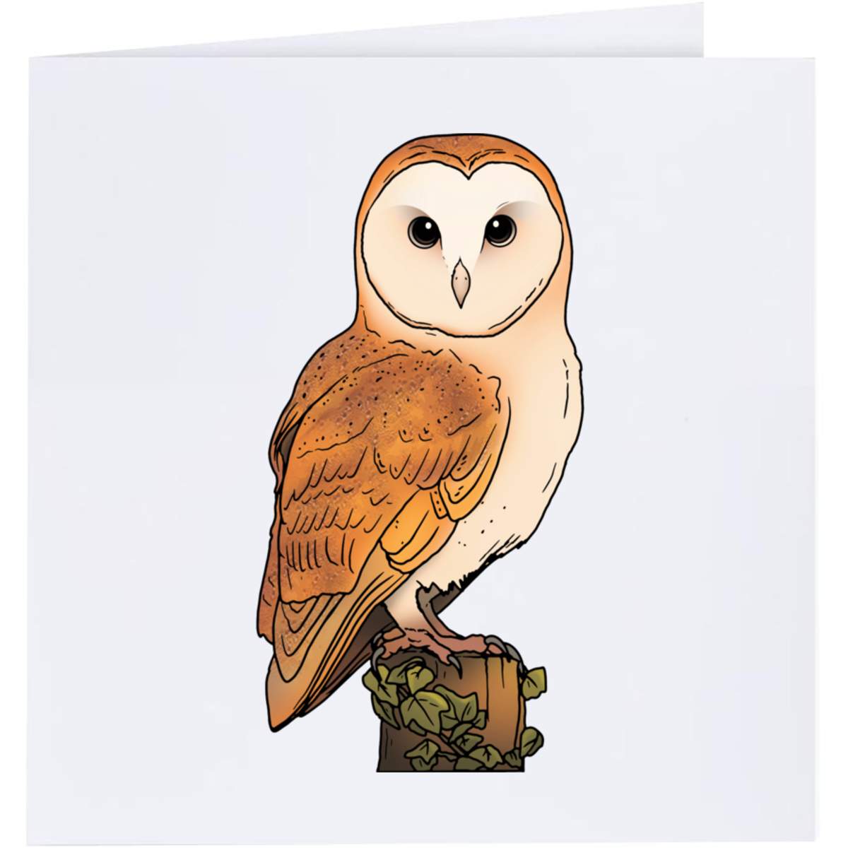 'Perched Barn Owl' Greeting Cards (GC048547)