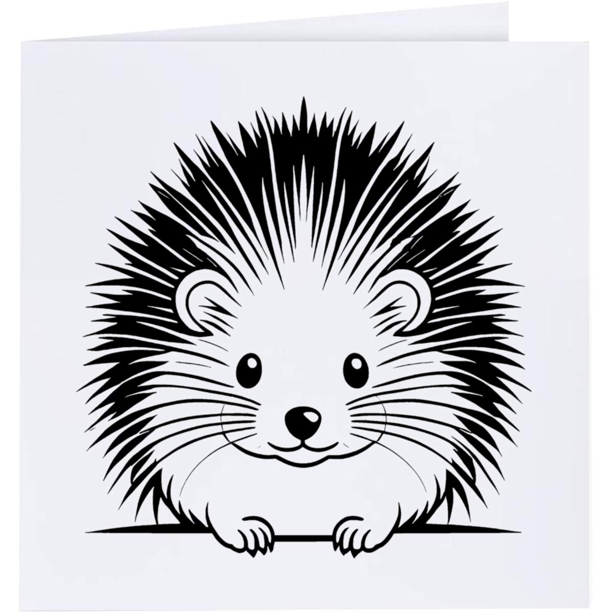 'Long Tailed Porcupine' Greeting Cards (GC050037)