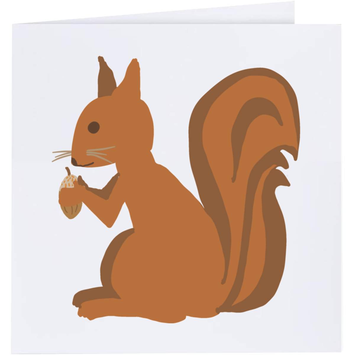 'Squirrel With Acorn' Greeting Cards (GC050311)