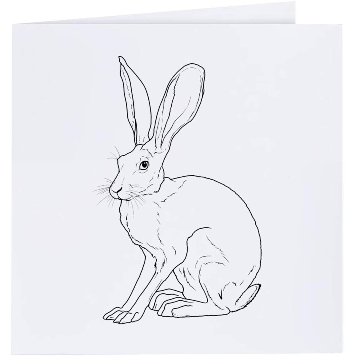 'Sitting Hare' Greeting Cards (GC051293)