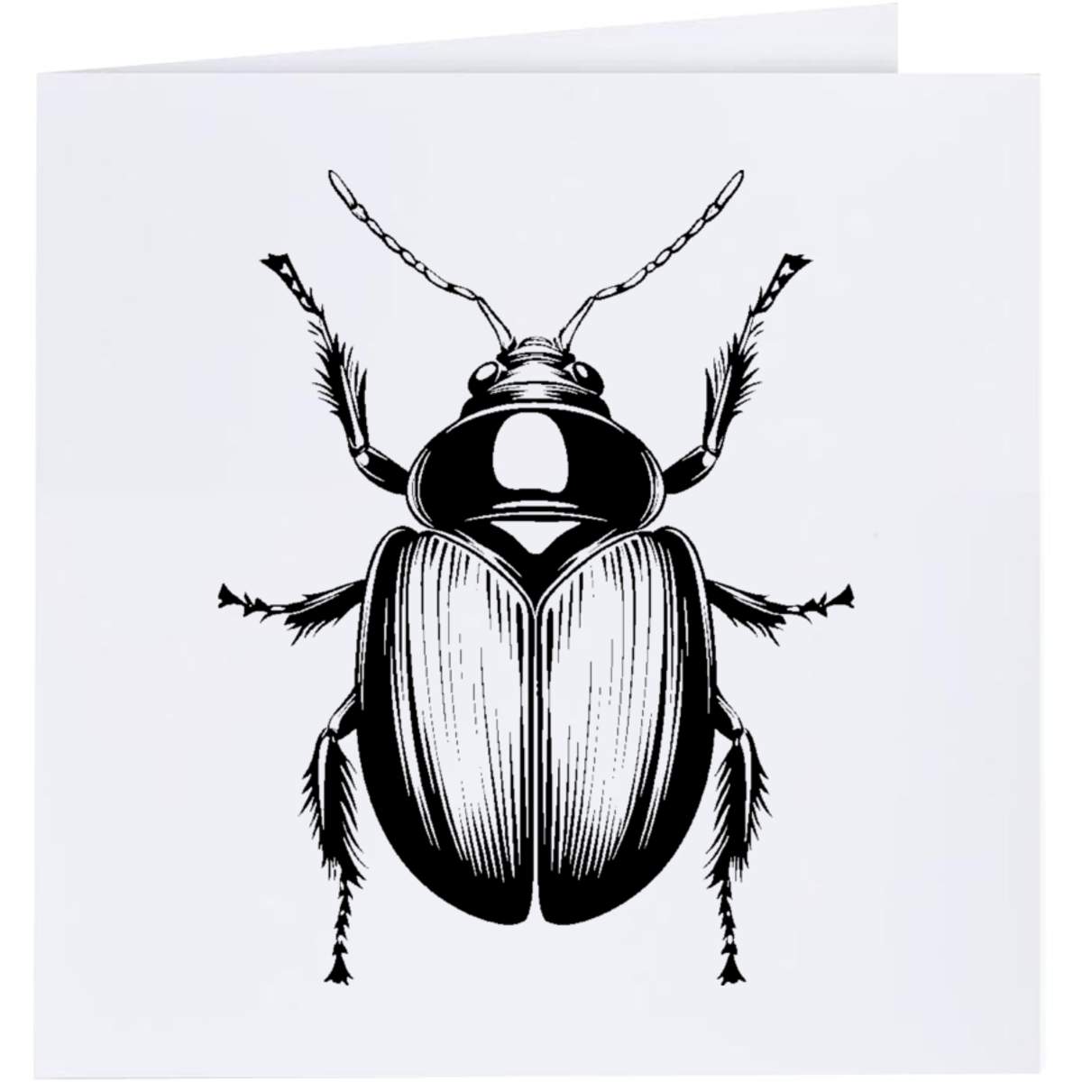 'Single Beetle Bug' Greeting Cards (GC051919)