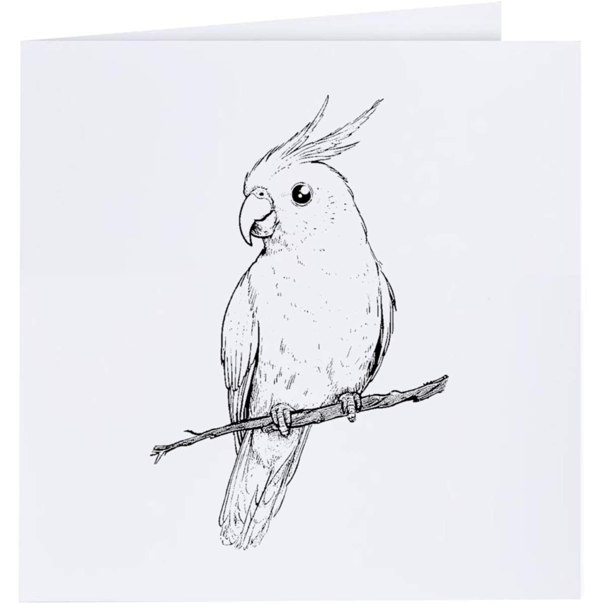 'Cute Cockatiel on Branch' Greeting Cards (GC052091)