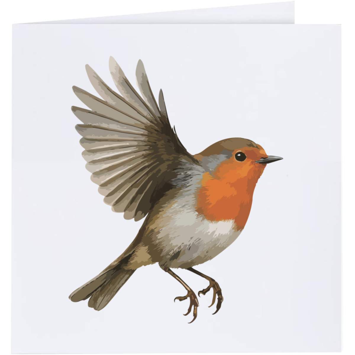 'Robin Redbreast Bird in Flight Wings Spread' Greeting Cards (GC057795)