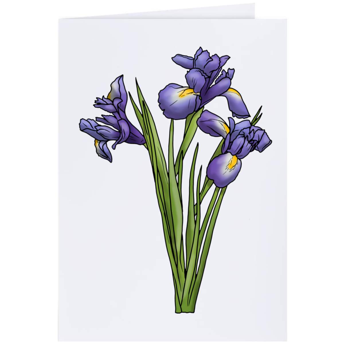 'Blue Iris Flowers' Greeting Card - A4 - Blank Inside for Birthdays, Thank You Notes, Invitations and Gifts (GC00040753)