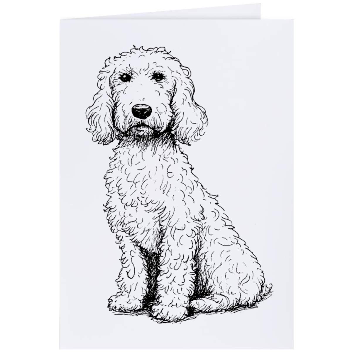 Large (A4) 'Golden Doodle Dog Sitting' Blank Greeting Card (GC00072284)