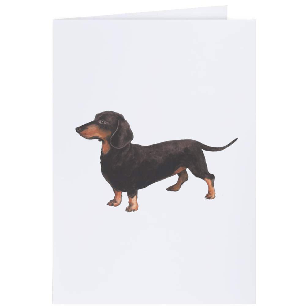 'Dachshund' Gift Wrap / Wrapping Paper / Gift Tags (GI023664) - Picture 13 of 16