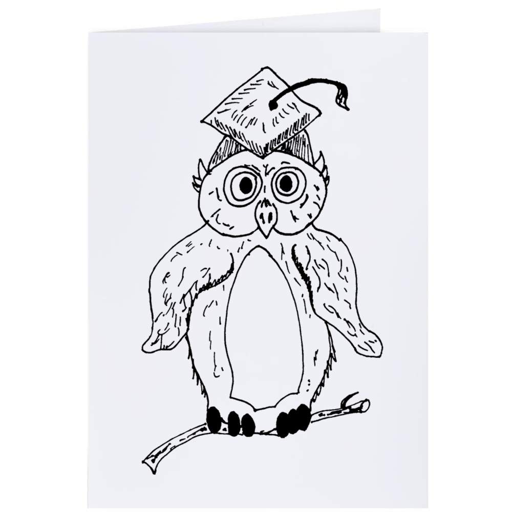 'Graduation Owl' Gift Wrap / Wrapping Paper / Gift Tags (GI017646) - Picture 13 of 16