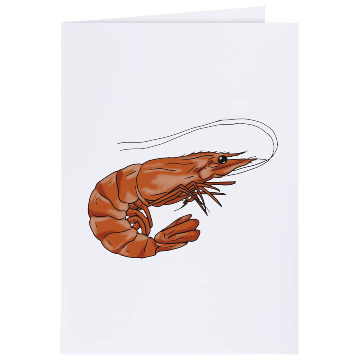 4 x 'Shrimp' Gift Tags / Labels (GI00034915)