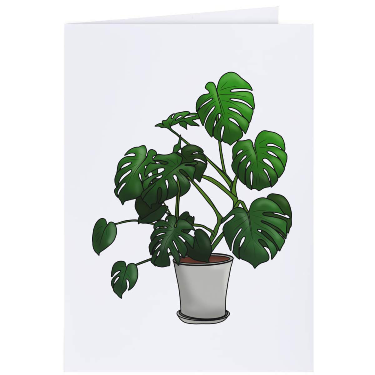 4 x 'Monstera House Plant' Gift Tags / Labels (GI00051478)