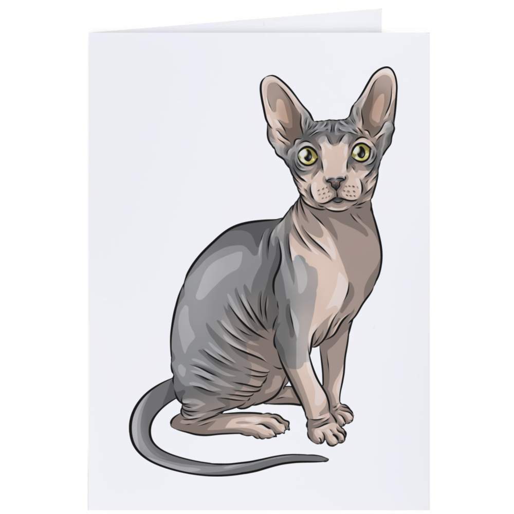 Sphynx Cat' Gift Wrap / Wrapping Paper / Gift Tags (GI036552