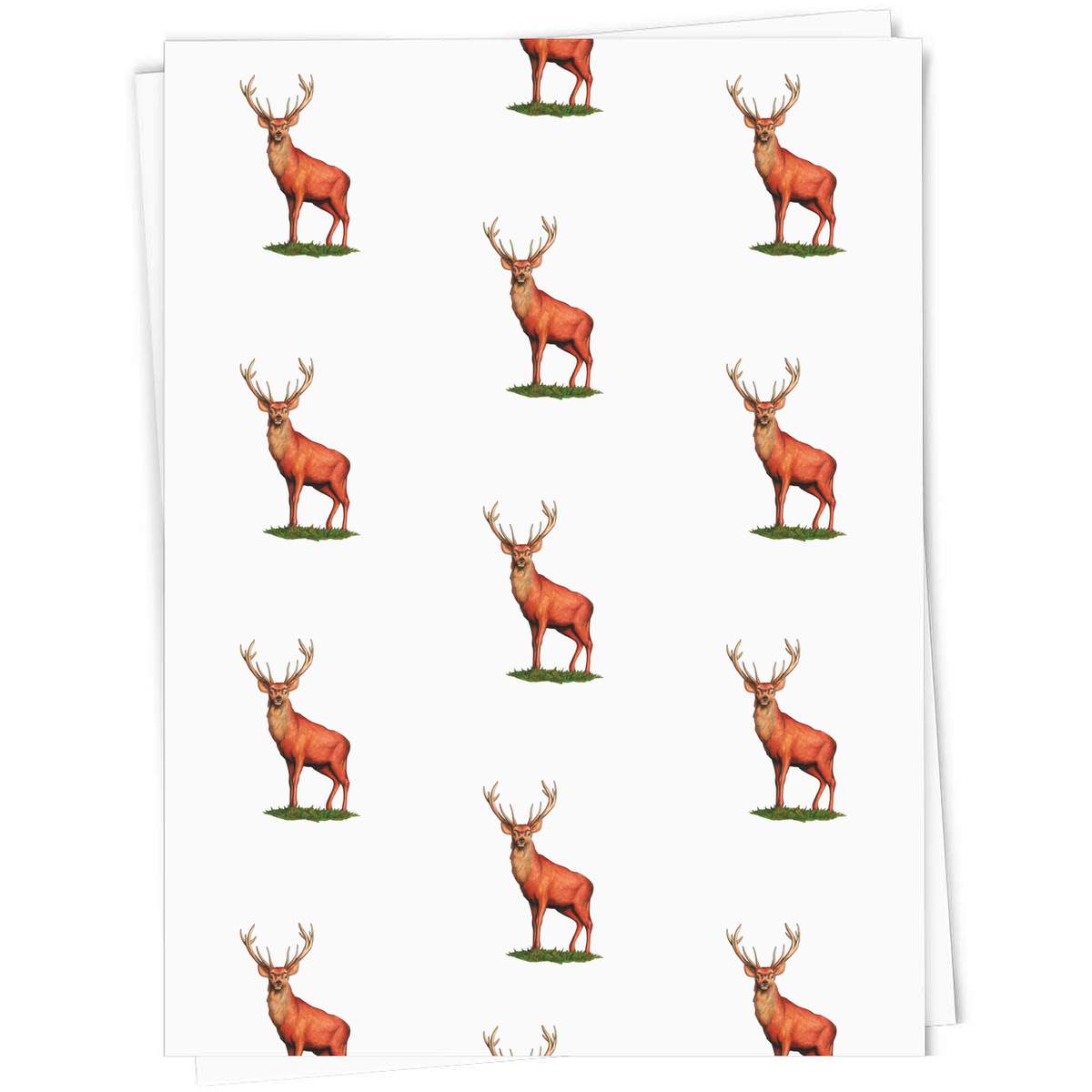 'Red Deer Stag' Gift Wrap / Wrapping Paper / Gift Tags (GI022049)