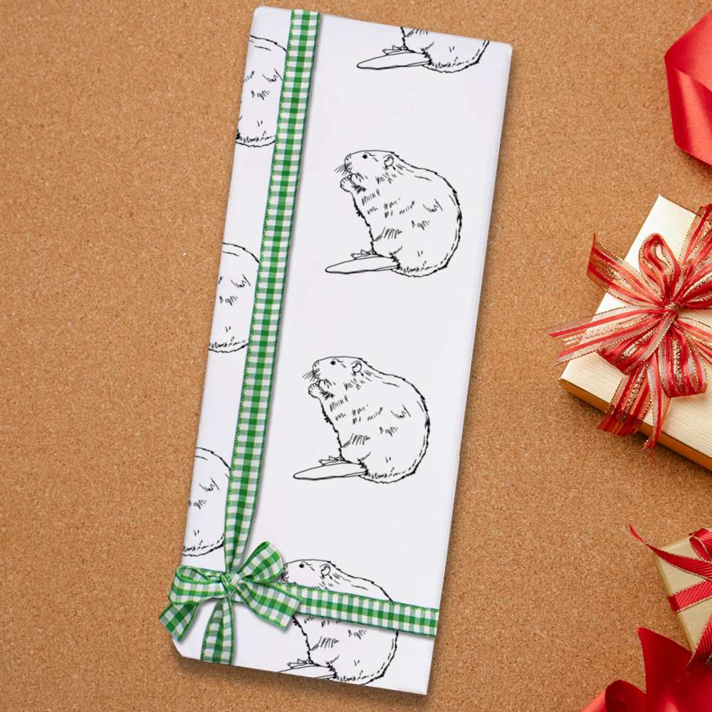 Emballage cadeau / papier demballage économies / étiquettes cadeaux « castor » (GI027713)