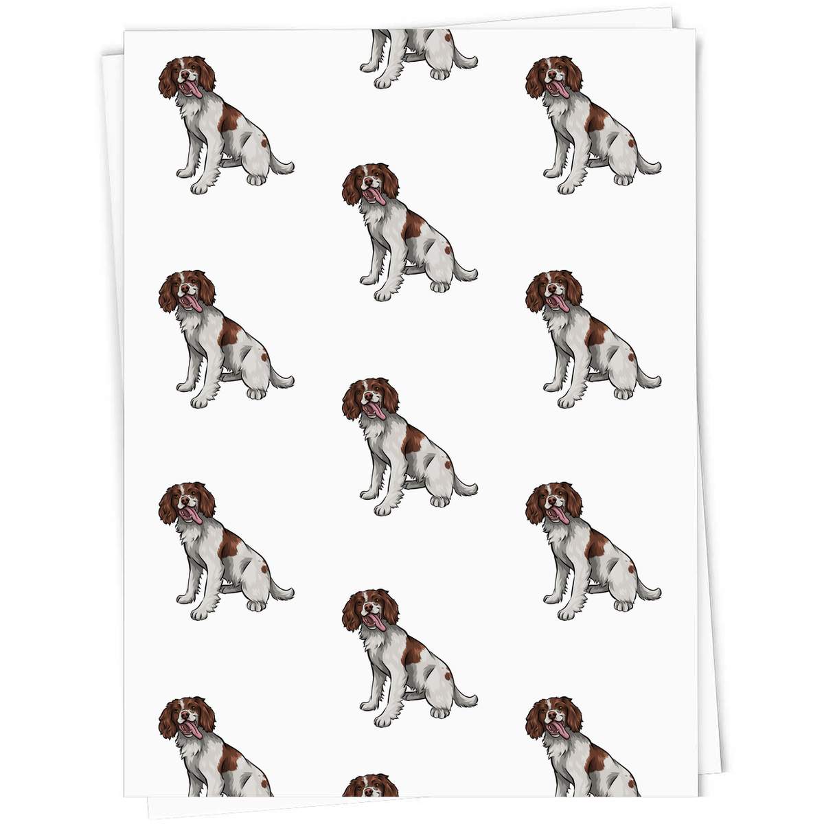 'Springer Spaniel' Gift Wrap / Wrapping Paper / Gift Tags (GI031755)