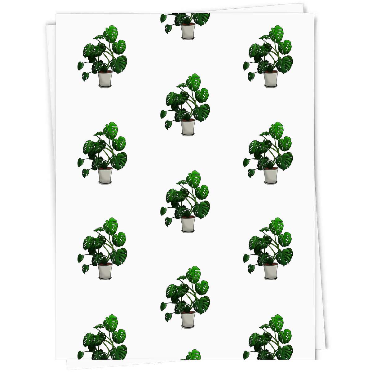'Monstera House Plant' Gift Wrap / Wrapping Paper / Gift Tags (GI036284)