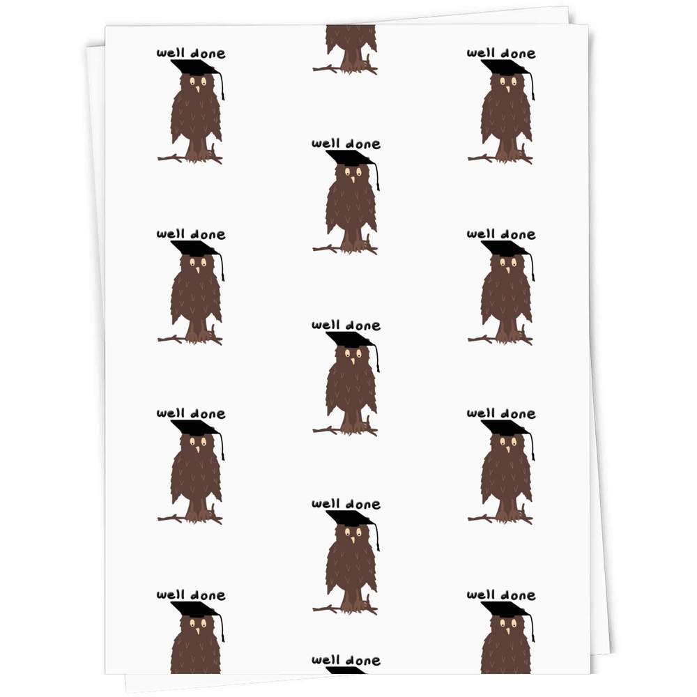 'Graduation Day Owl' Gift Wrap / Wrapping Paper / Gift Tags (GI047129) - Picture 5 of 16