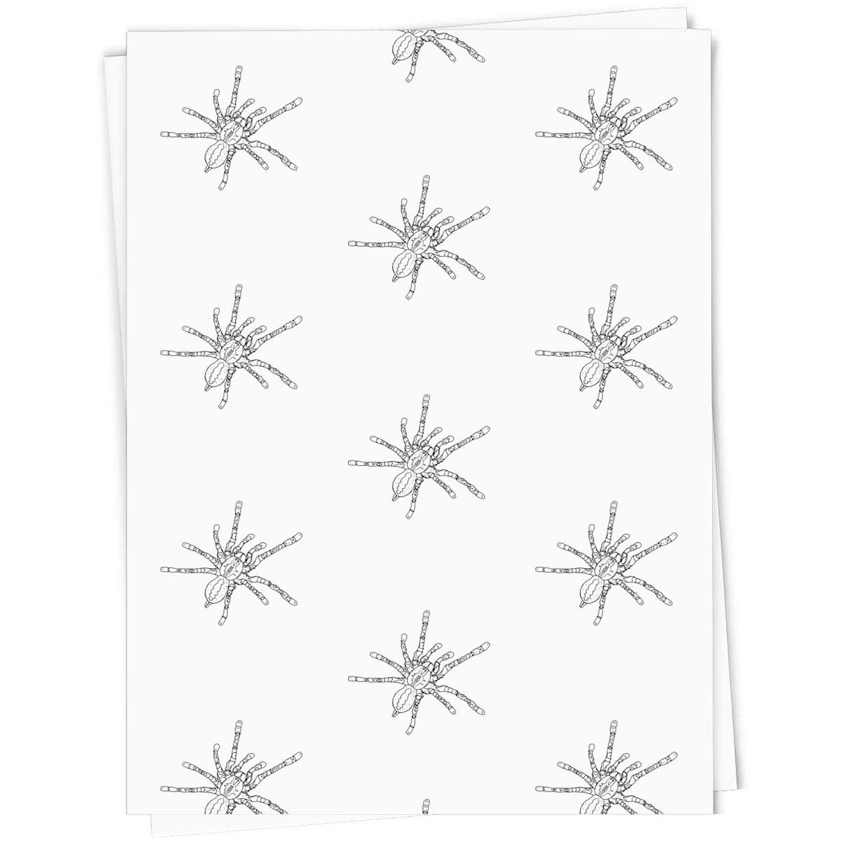 'Hairy Tarantula' Gift Wrap / Wrapping Paper / Gift Tags (GI050533)