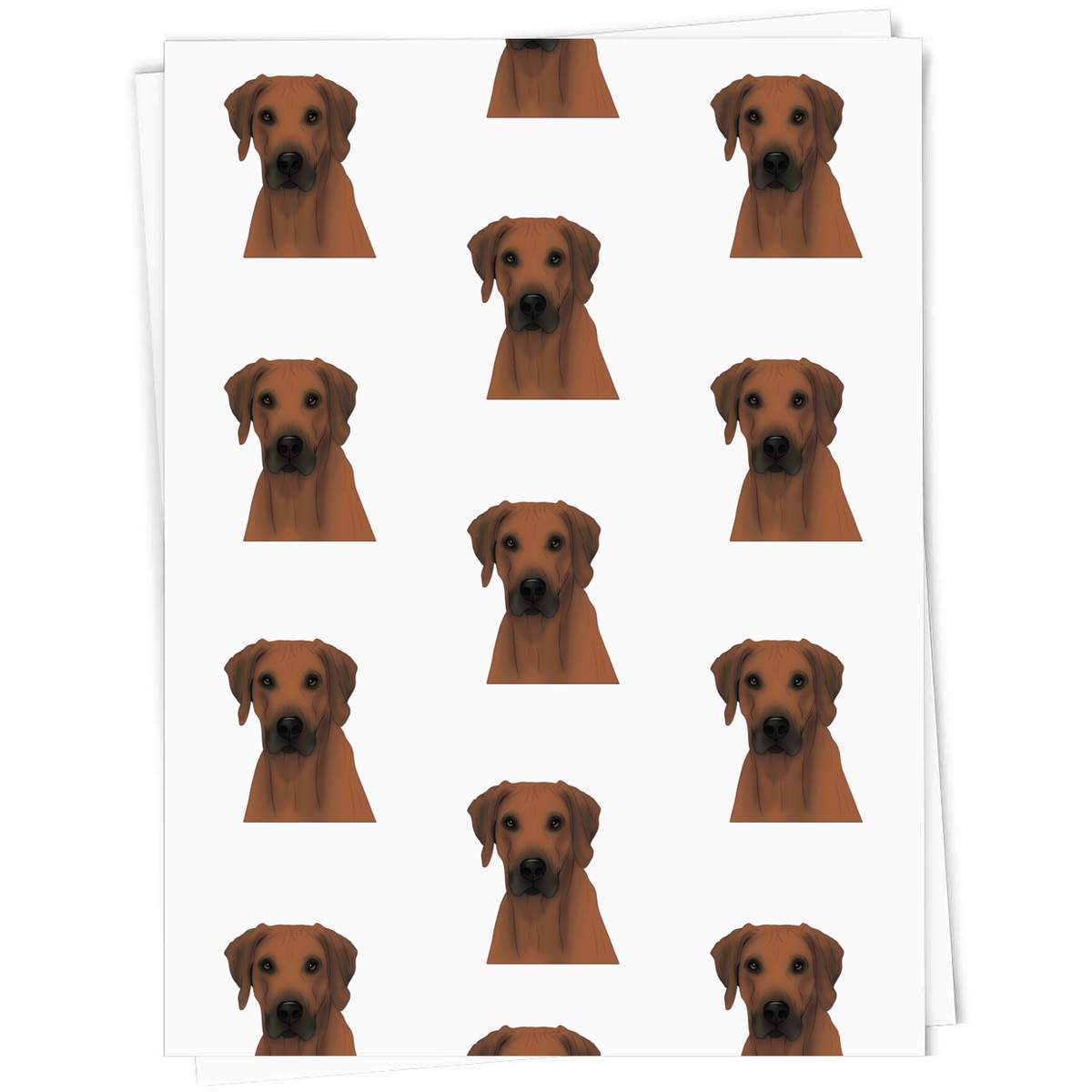'Regal Rhodesian Ridgeback Face' Gift Wrap / Wrapping Paper / Gift Tags (GI050585)