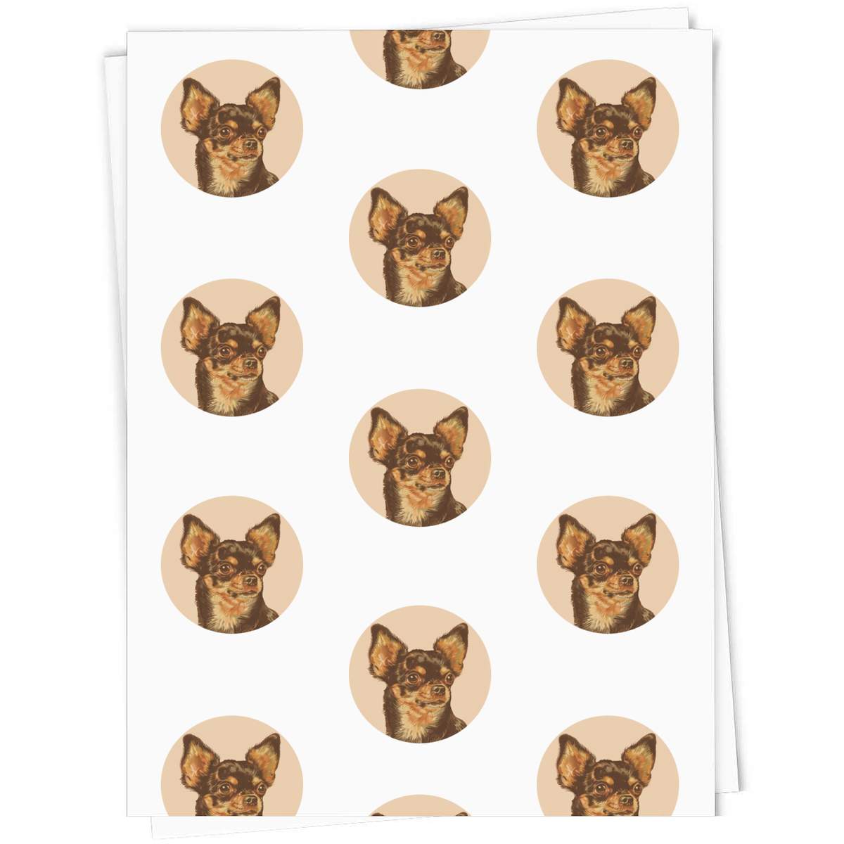 A1 'Vintage Chihuahua Portrait' Gift Wrap / Wrapping Paper Sheet (GI00103779)