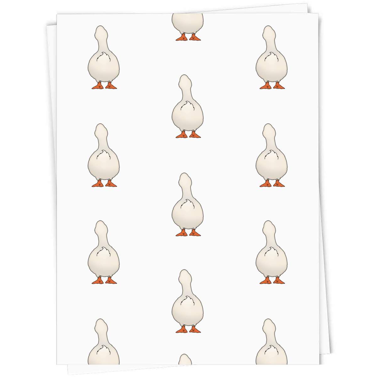 'Duck Bottom' Gift Wrap / Wrapping Paper / Gift Tags (GI052665)