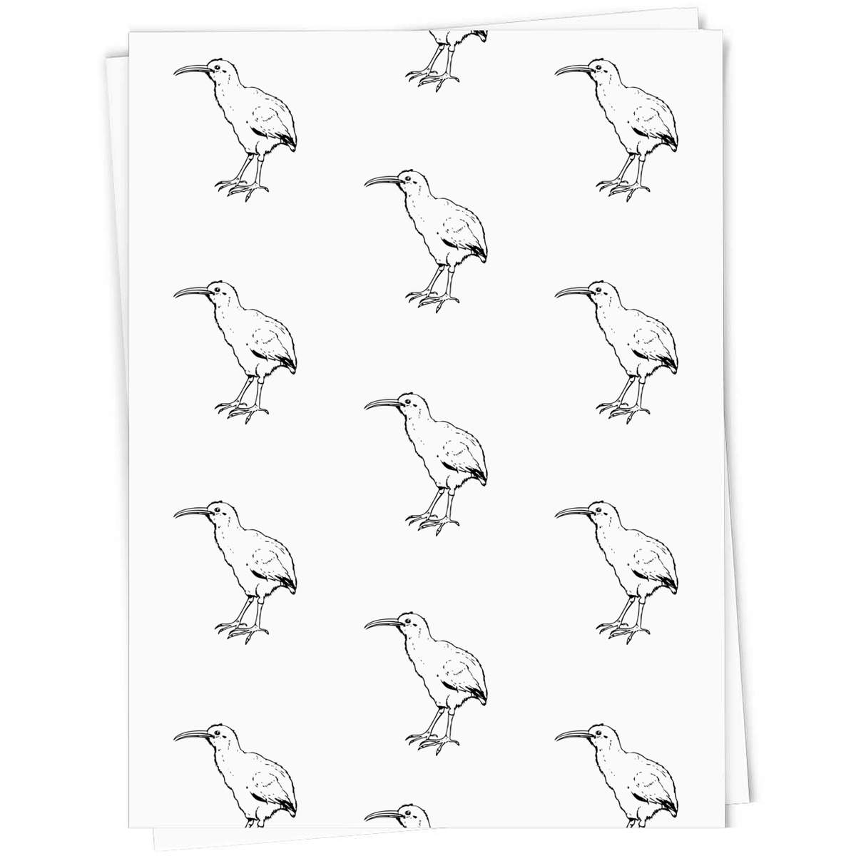 'Kiwi Bird' Gift Wrap / Wrapping Paper / Gift Tags (GI053214)