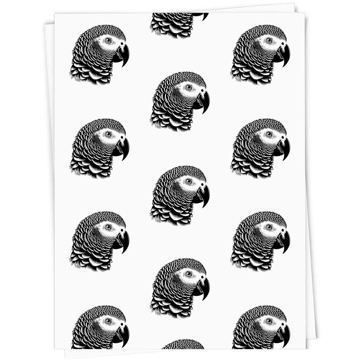 A1 'African Grey Parrot' Gift Wrap / Wrapping Paper Sheet (GI00108035)
