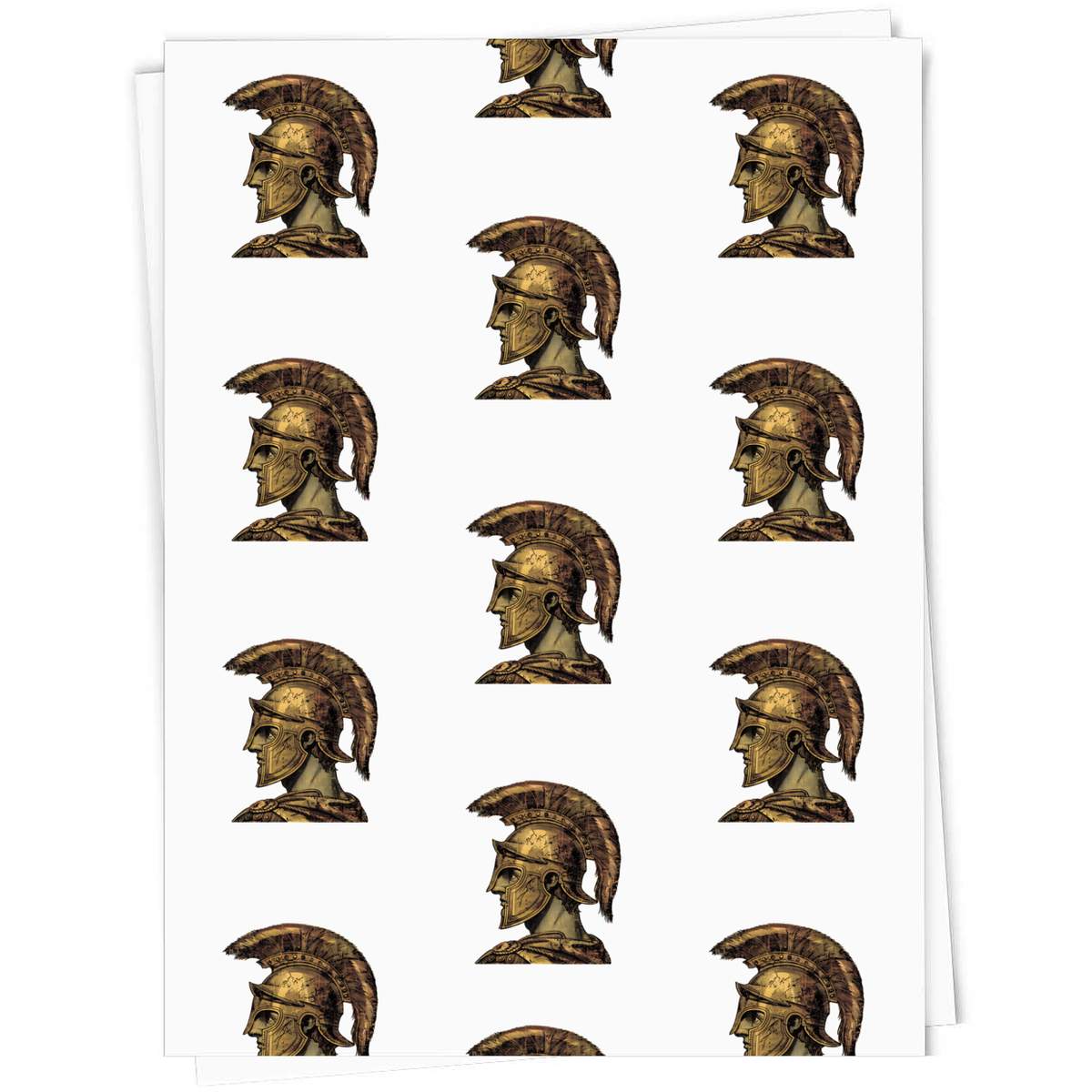 'Spartan Soldier Portrait' Gift Wrap / Wrapping Paper / Gift Tags (GI054285)