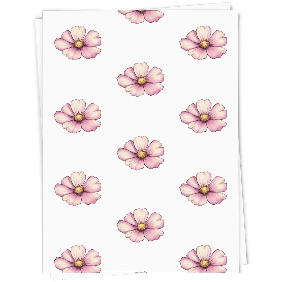 'Cosmos Flower' Gift Wrap / Wrapping Paper / Gift Tags (GI057639)