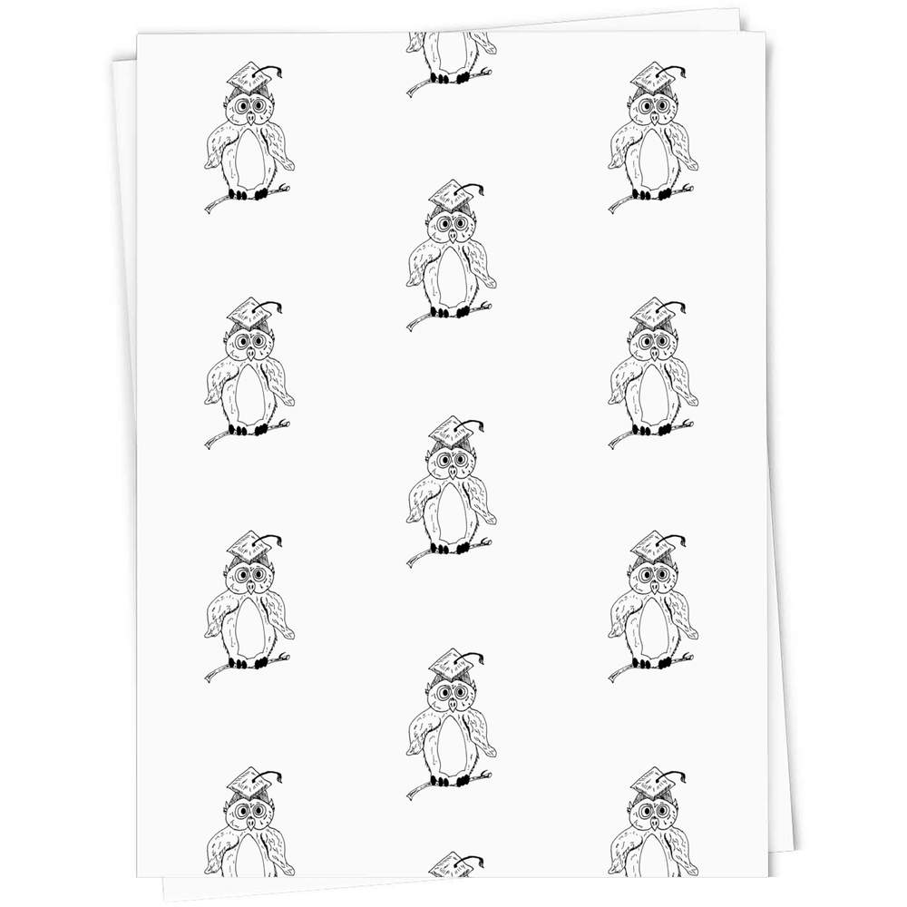 'Graduation Owl' Gift Wrap / Wrapping Paper / Gift Tags (GI017646) - Picture 9 of 16