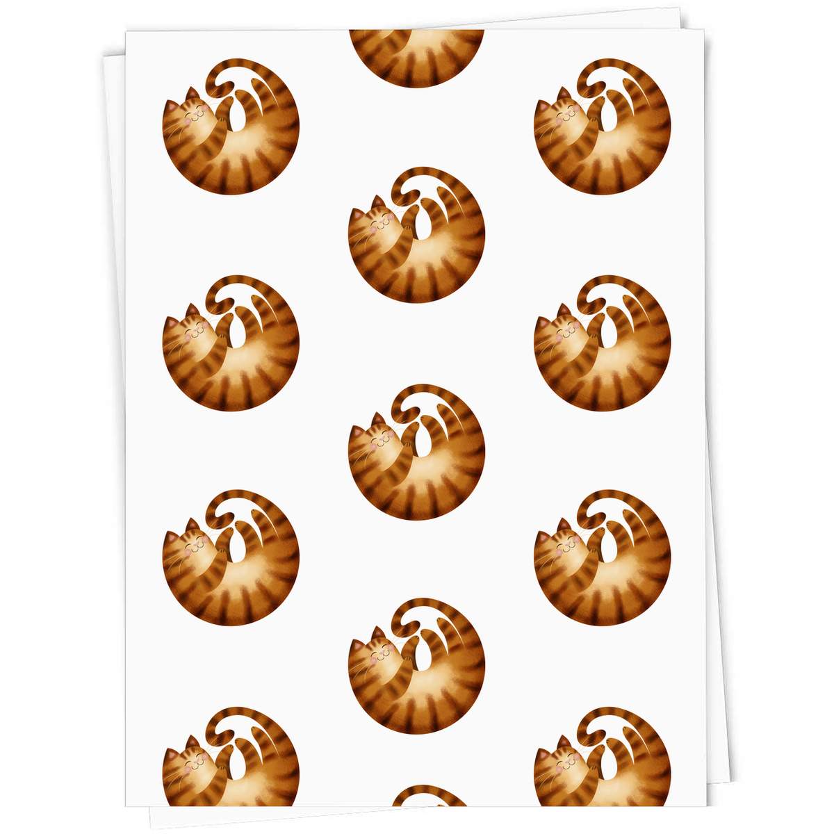 5 x 'Curled Up Ginger Cat' Gift Wrapping Paper Sheets - 91cm x 61cm - Present Paper for Birthdays, Christmas and Special Occasions (GI00012356)