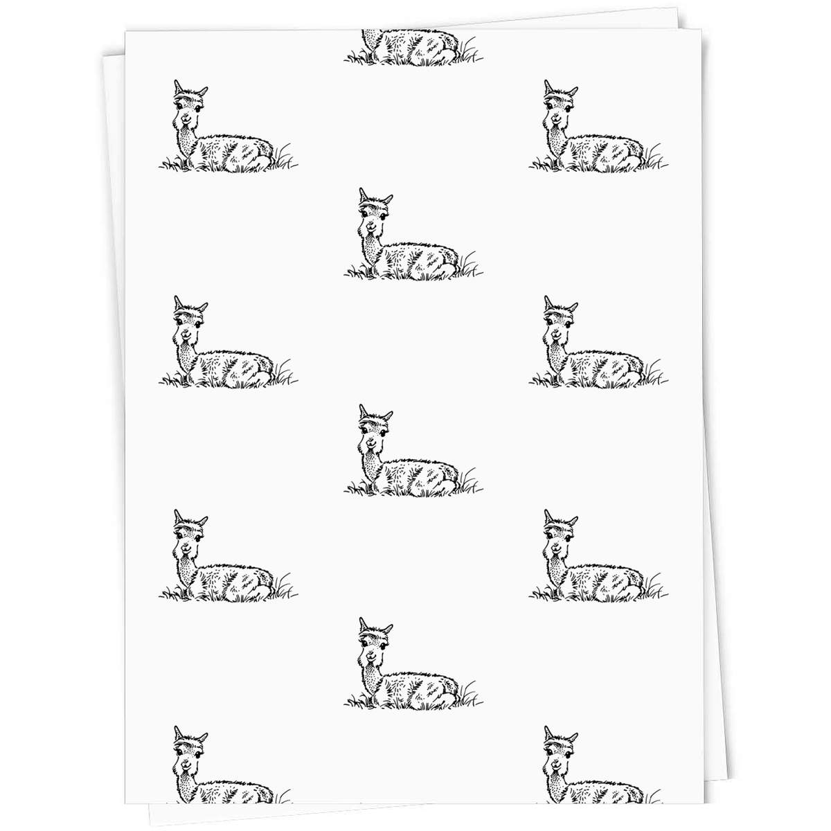 5 x 'Baby Alpaca' Gift Wrapping Paper Sheets - 91cm x 61cm - Present Paper for Birthdays, Christmas and Special Occasions (GI00012550)