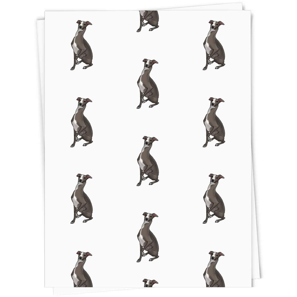 5 x 'Goofy Italian Greyhound' Gift Wrapping Paper Sheets - 91cm x 61cm - Present Paper for Birthdays, Christmas and Special Occasions (GI00067922)