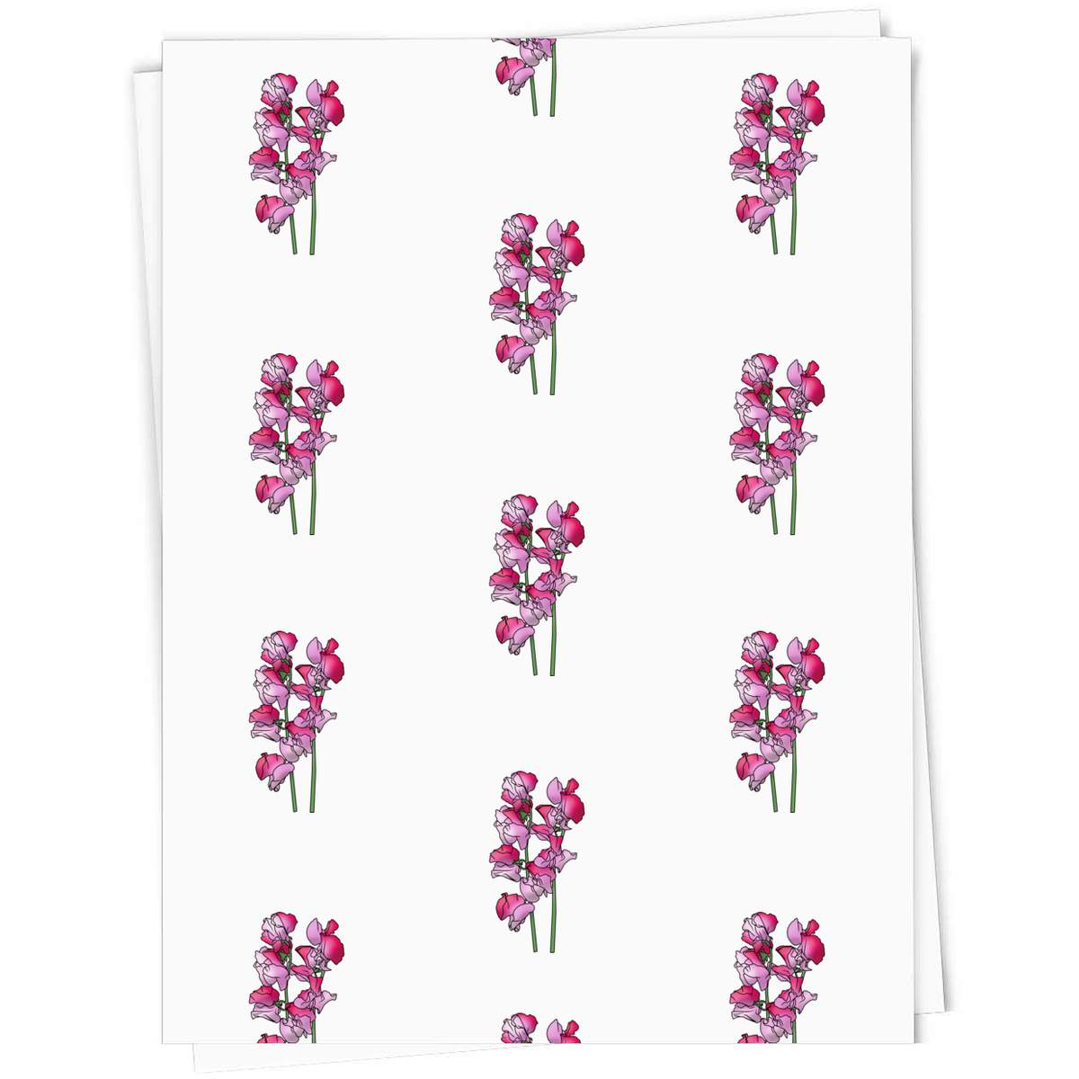 5 x A1 'Pink Sweetpea Flowers' Gift Wrap  / Wrapping Paper Sheets (GI00071330)