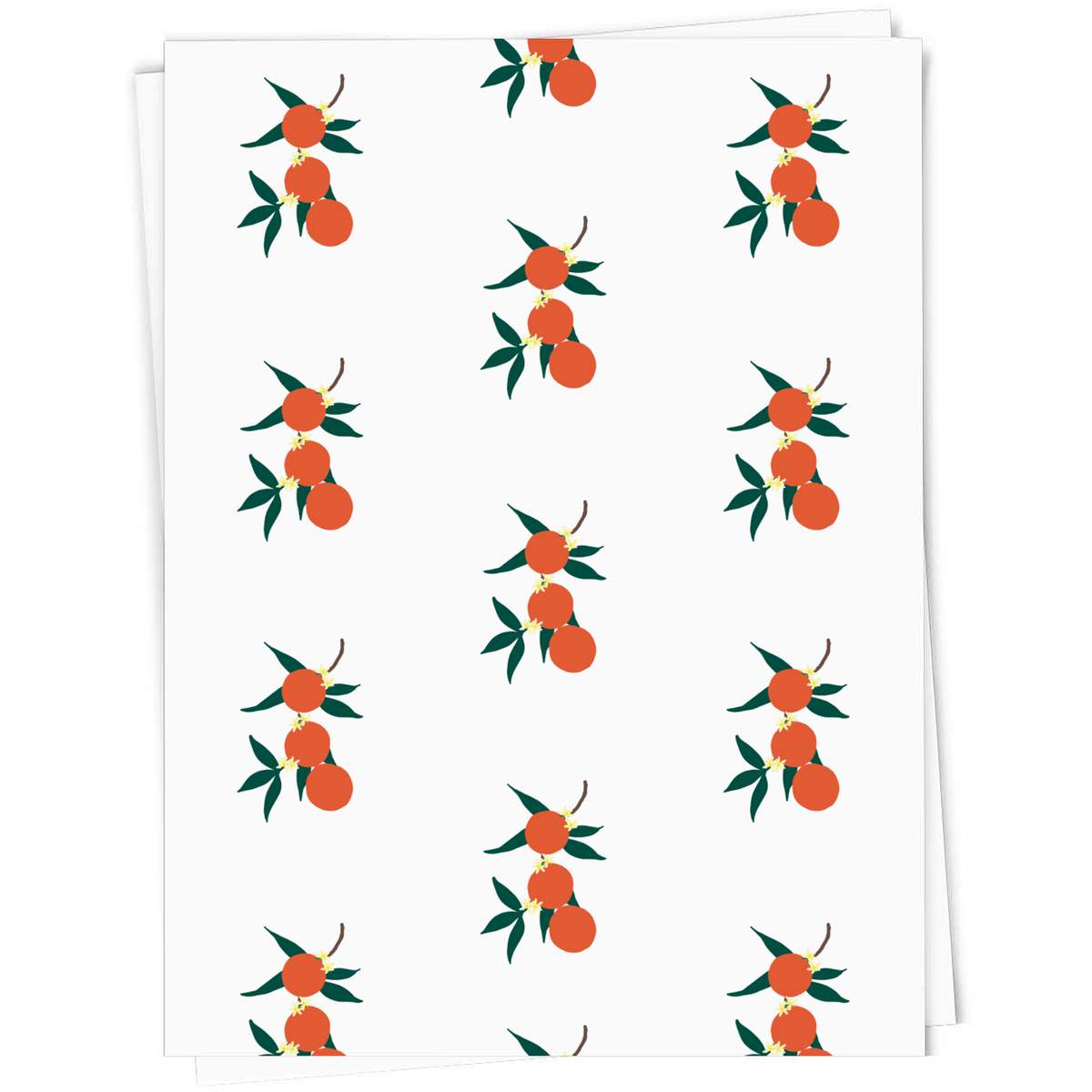 5 x A1 'Oranges And Blossom ' Gift Wrap  / Wrapping Paper Sheets (GI00092876)